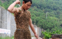 В Китае фермера облепили 23 кг пчел
