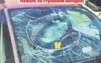 Кот упал на автомобиль и остался жив, а вот автомобилю не повезло (видео)