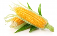 10 причин съесть кочан кукурузы 