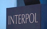 Новый приоритет Интерпола - борьба с кибер-преступностью