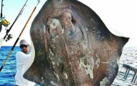 Рыбак вытащил из морских глубин заросшего ракушками динозавра (ФОТО)