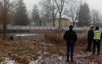 Полиция Житомира расследует смерть двух студентов, тела которых обнаружили в пруду (видео)