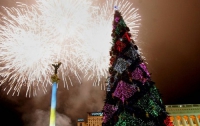 25 декабря засветятся елки в 10 районах столицы