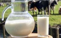 Порівняно з минулим роком усі молочні продукти в Україні значно подорожчали