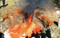 Россияне сожгли более четырех тонн красной икры