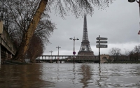 Из-за наводнения Париж заполонили крысы