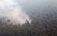В России сгорело 2,7 тыс. гектаров заповедного леса 