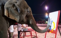 В Венгрии продали картины, написанные цирковым слоном
