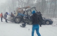 Несколько авто врезалось в колонну снегоуборочной техники в Киевской области