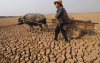 17 миллионов китайцев страдают от засухи