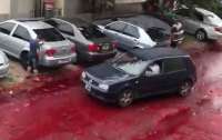 Тысячи литров крови растеклось по улицам Аргентины