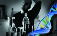 У алкоголизма генные корни