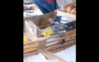 В магазине Киева заметили голубя, поедающего пиццу (видео)