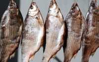 В Киеве из-за опасной болезни запретили продажу вяленой рыбы