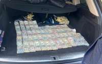 Более 700 тысяч долларов нашлось в багажнике автомобиля 