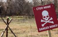 На дорогах Украины появится новый предупреждающий дорожный знак