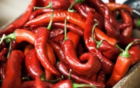 Перец чили растворяет холестерин и снижает давление – ученые