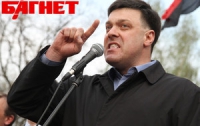 Донецкие хулиганы изуродовали Тягнибока (ФОТО)