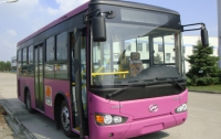 В Турции для женщин хотят запустить розовые автобусы 