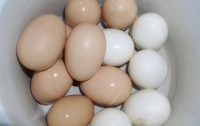 Яйцами можно понизить давление