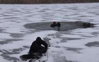 В Киеве на озере Тельбин фигуристка провалилась под лед (видео)