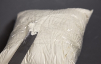 Украинцы ввозили из Европы кокаин под видом стирального порошка