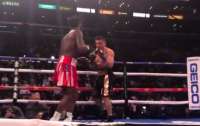 Известный украинский боксер потерпел поражение от доминиканца (видео)