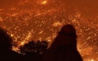 Лесные пожары медленно уничтожают американский заповедник