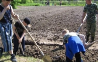 Украинцы вняли Азарову и возьмутся за лопаты и грабли