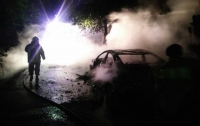 В Киеве зрелищно сгорел автомобиль
