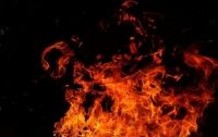 В Португалии при пожаре в ночном клубе погибли восемь человек