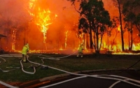 Крупный пожар в Австралии достиг жилых домов в пригороде Сиднея