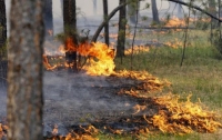 В Украине объявлена чрезвычайная пожарная опасность