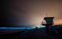 У берегов Калифорнии океан начал светиться благодаря фитопланктону (фото)