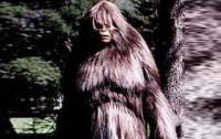 Ученые раскрыли тайну российского снежного человека