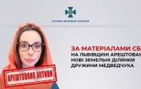 На Львівщині арештували нові земельні ділянки Оксани Марченко