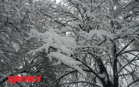 Сегодня в Украине мокрый снег и похолодание