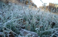 Синоптики предупредили о заморозках 30 сентября