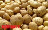 Картошка подорожает на треть