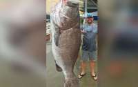 Рыбак поймал на удочку 159-килограммовую рыбу