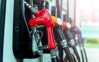 Минфин установил новые максимальные цены на бензин и дизель на АЗС
