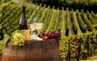 Уряд підтримає українських виноробів на міжнародних ринках