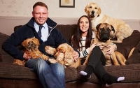Британская семья клонировала своего пса