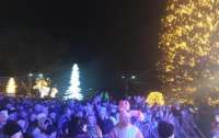 В Кривом Роге в новогоднюю ночь мужчина залез на городскую елку (видео)