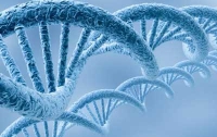 Ученые выяснили, какие генетические мутации вызывают рак 