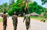 В Нигере во время полевых работ убили более 30 человек