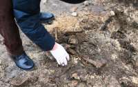 Недалеко от мэрии Энергодара дети нашли человеческие останки