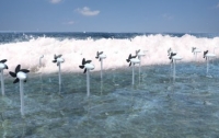 Японцы разработали турбины, вырабатывающие энергию и одновременно защищающие береговую линию Турбины WEC