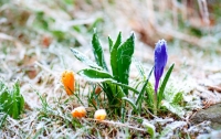 Резкое похолодание и заморозки: синоптики предупредили о смене погоды