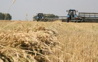 Нового замминистра аграрной политики уже «ушли» с должности